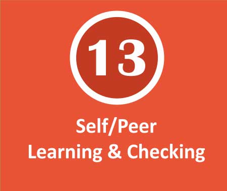 Self/Peer Learning & Checking