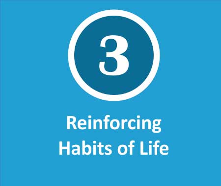 Reinforcing Habits Of Life